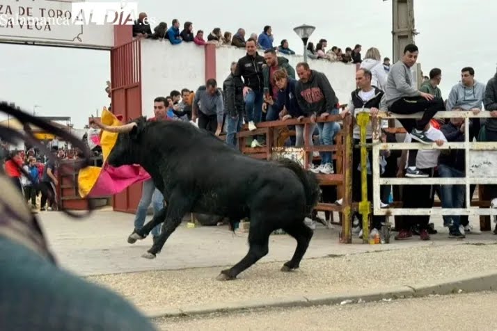 Villoria arranca la cuenta atrás para las Fiestas del Voto con la esperada presentación de sus festejos taurinos