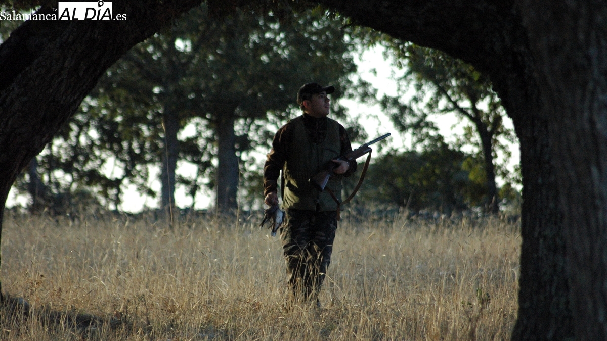 La tórtola europea volverá a cazarse en Castilla y León esta temporada