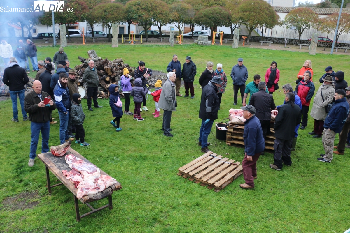 Ni el frío ni la lluvia restan animación a la Fiesta de la Matanza Tradicional en Cipérez