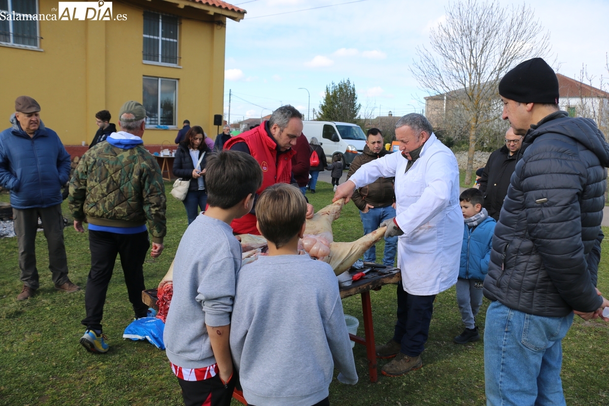 Villar de Peralonso demuestra que ‘del cerdo hasta los andares’