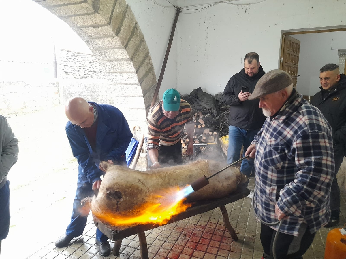 La intensa lluvia de la mañana no impide en Peralejos de Abajo celebrar la Matanza Tradicional 