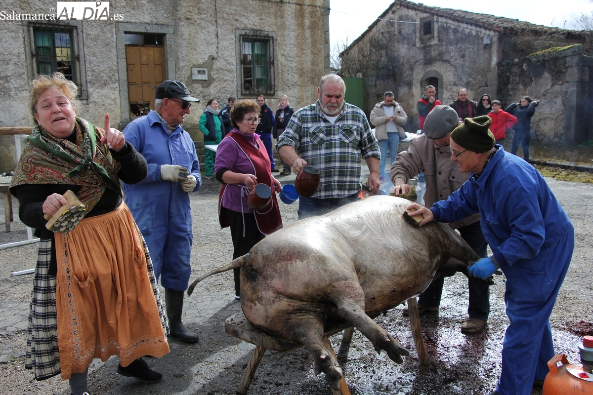 Fuenteliante celebra su Fiesta de la Matanza con los sabores más tradicionales