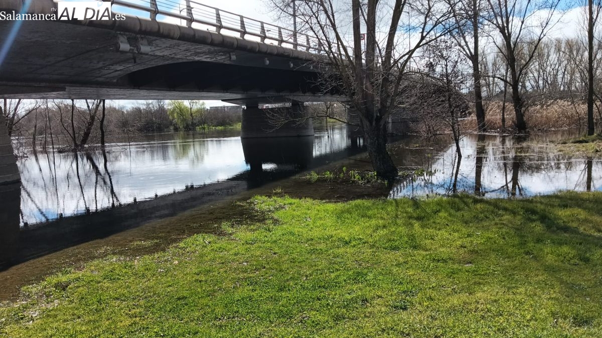 FOTOS | Así luce el río Tormes tras las últimas lluvias registradas en Salamanca