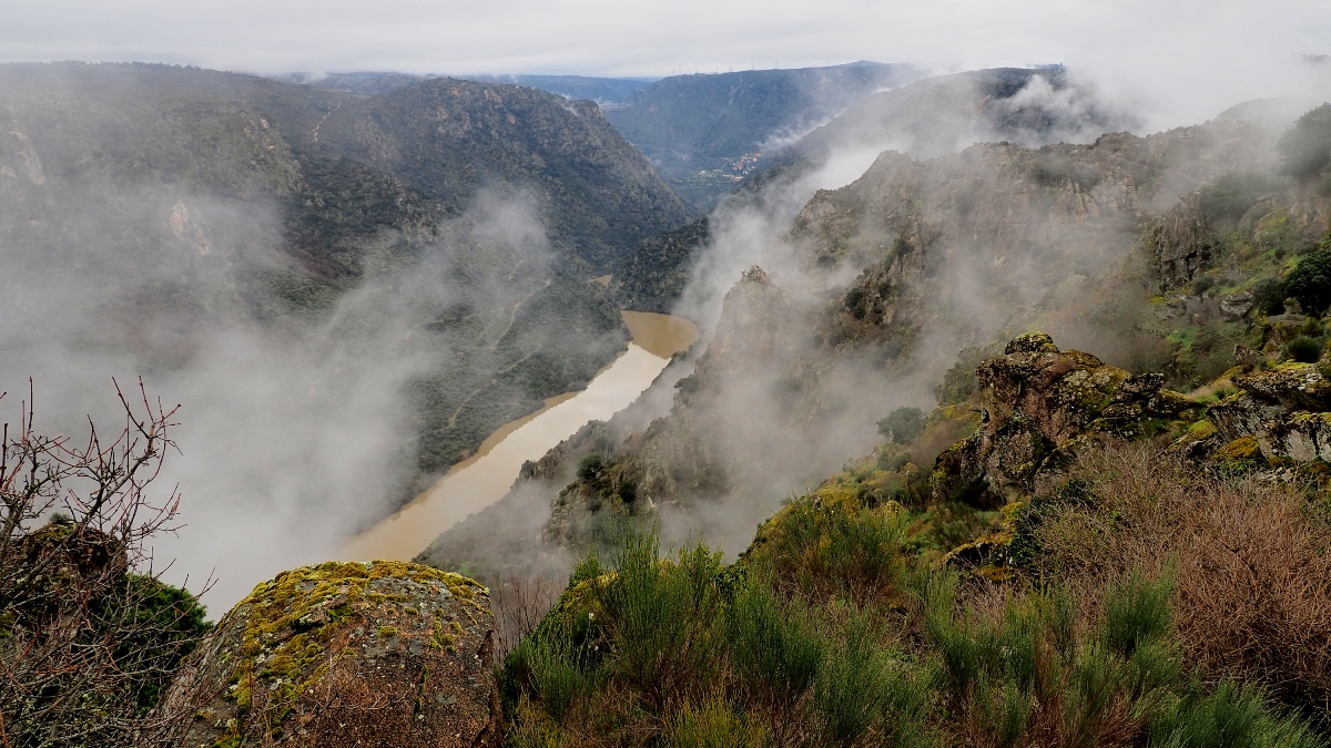 La voluntad y las montañas 