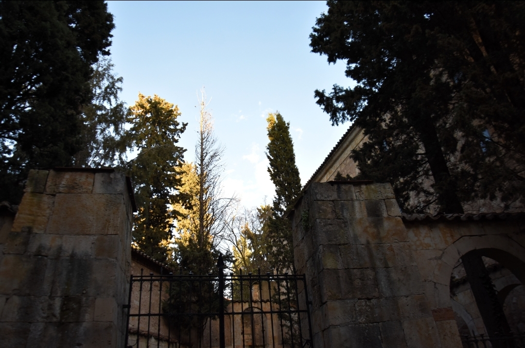 De nuevo, el invierno