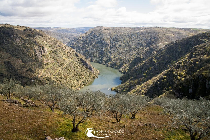 V Ruta a Caballo por las Arribes de Aldeadávila el 6 de abril