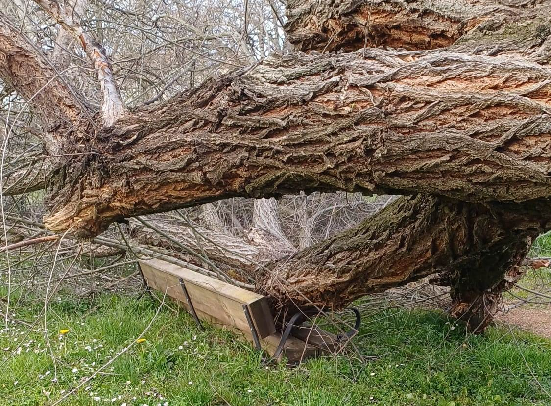 1Foto: Al banco a ‘descansar’