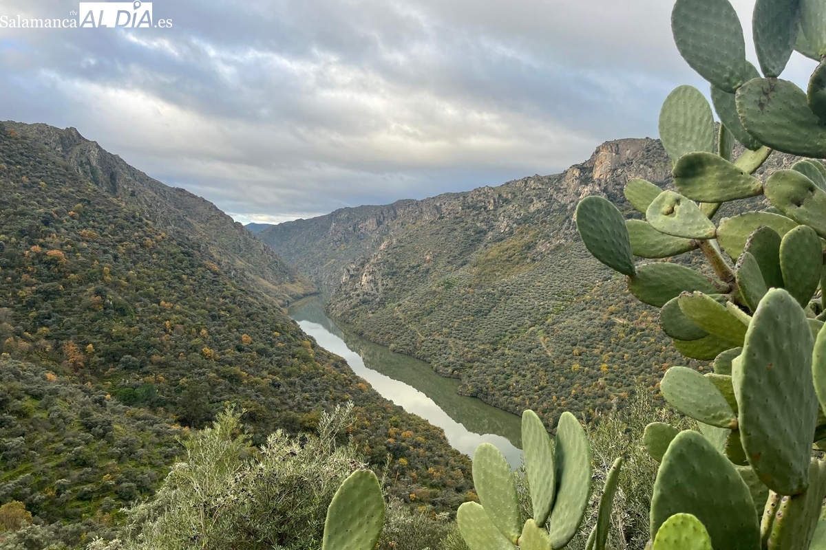 XXVIII Ruta de senderismo de Mieza