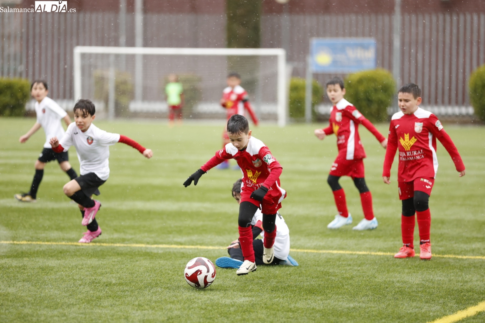El fútbol base de Salamanca desafía a la lluvia en una jornada de vuelta a la normalidad tras los Carnavales (FOTOS)