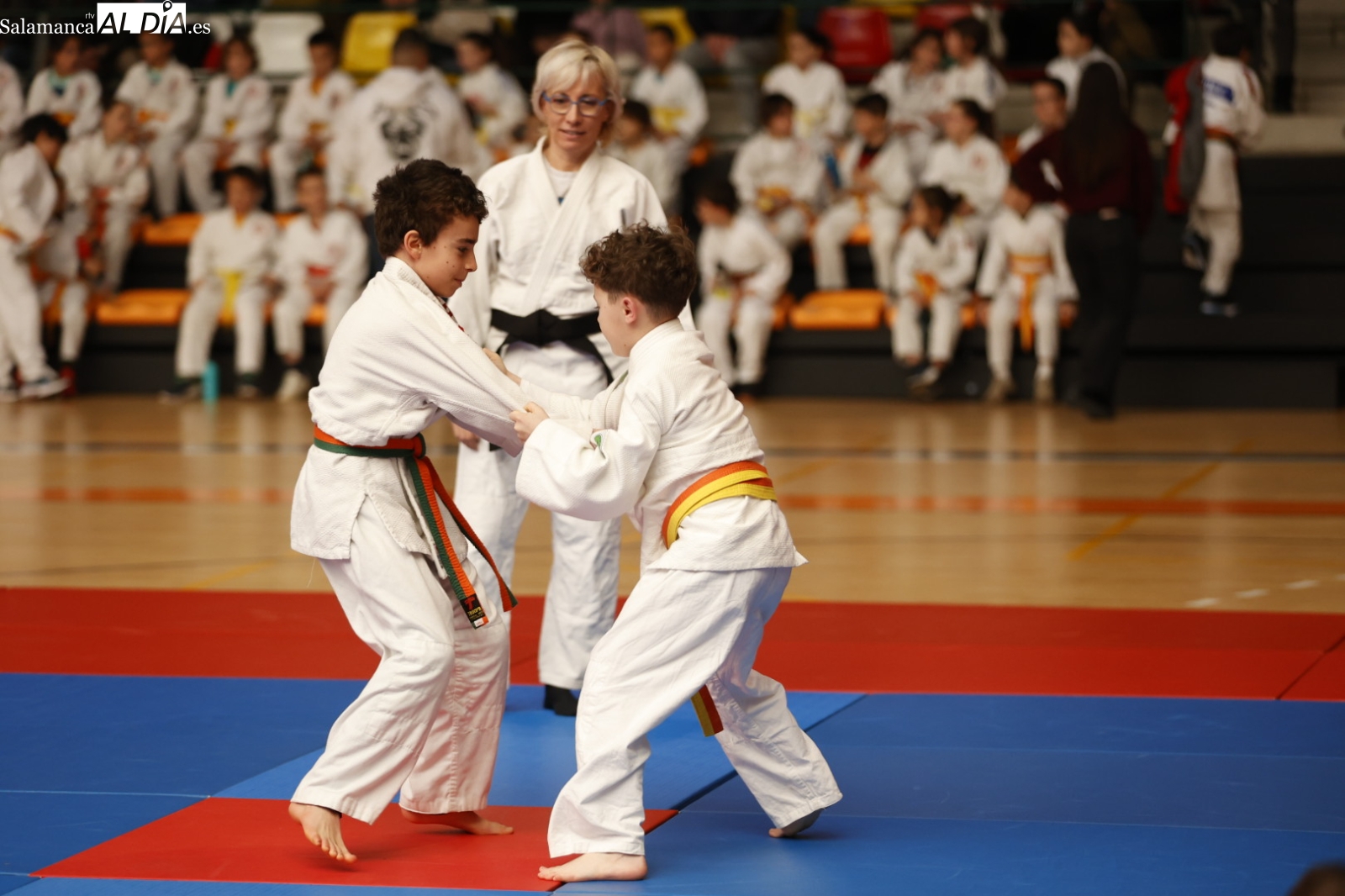Gran segunda jornada de judo de los Juegos Escolares 2024-2025 (GALERÍA DE FOTOS)