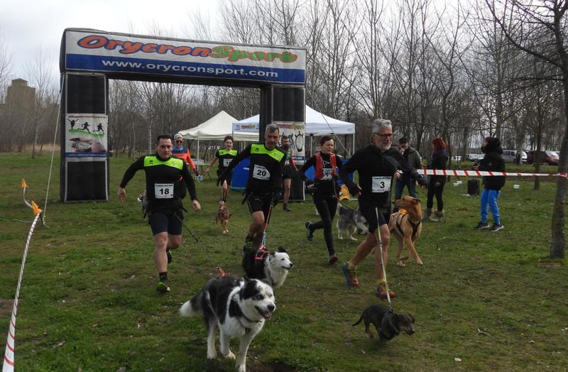 Pedro López y Adriana Alarcos brillan en el canicross de Alba de Tormes