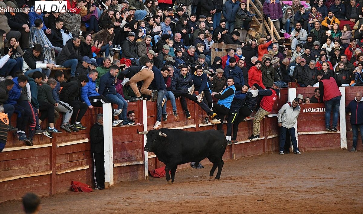 Denuncian que menores de edad presenciaron cornadas en el Carnaval del Toro de Ciudad Rodrigo