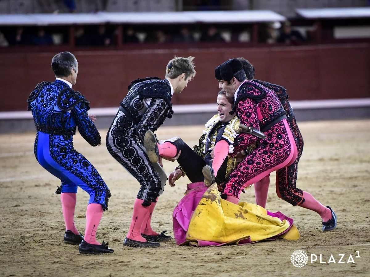 Damián Castaño paga con sangre su entrega en Las Ventas 