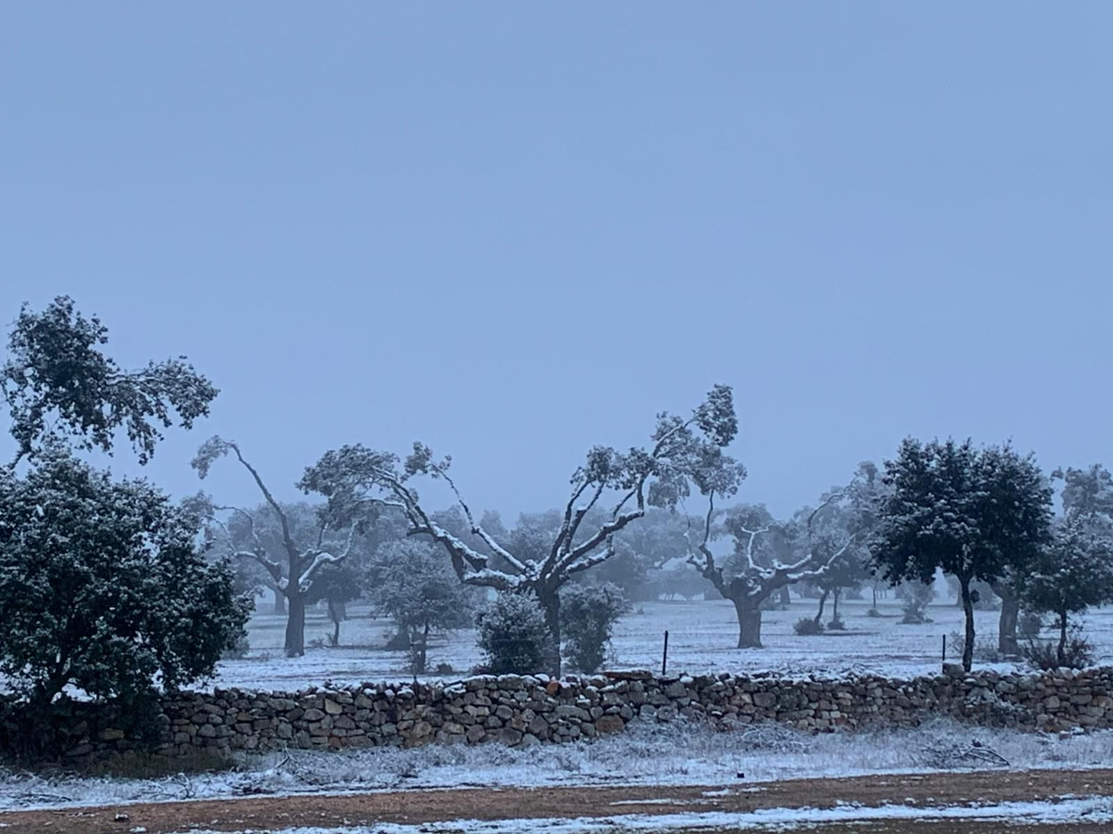 La nieve, protagonista en varias zonas de la provincia de Salamanca