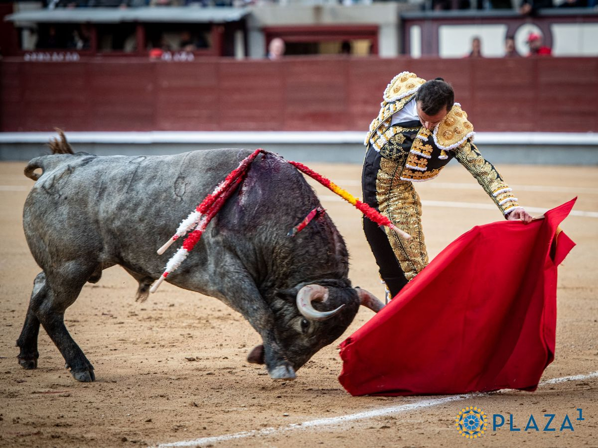 Organizado un viaje para acompañar a Damián Castaño en su histórica encerrona el 27A