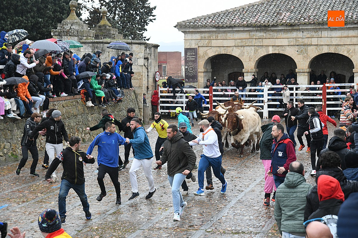Rápido encierro de los astados de Juan José Cano pese a llegar disgregados a la Plaza