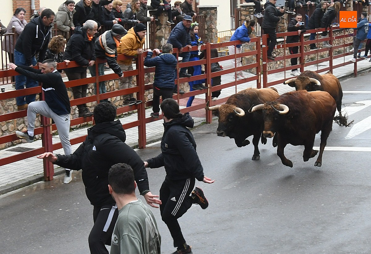 Los Torrealba protagonizan un veloz último encierro del Carnaval subiendo muy fragmentados
