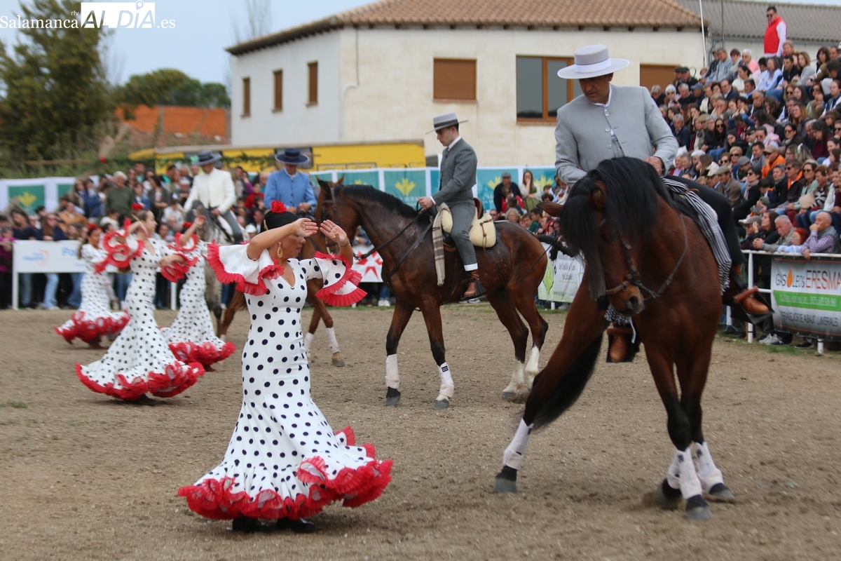 Bañobárez acogerá la IV Feria Solidaria del Caballo a beneficio de la Asociación de Alzheimer de Salamanca