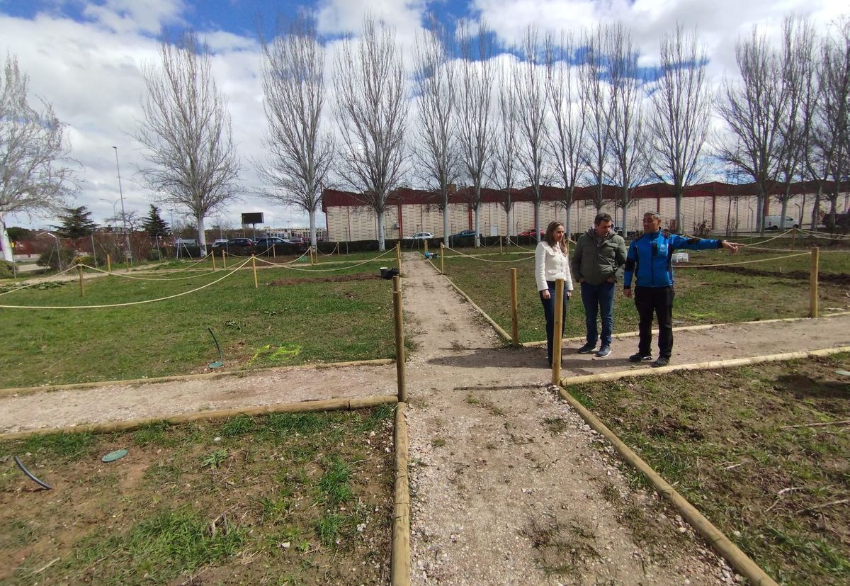 Santa Marta acondiciona y adjudica las 40 parcelas de los nuevos huertos de ocio