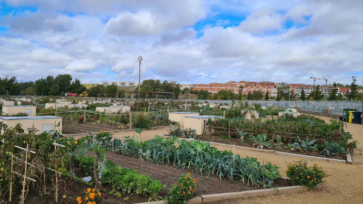 Los cambios que llegan para los usuarios de los Huertos Urbanos de Salamanca