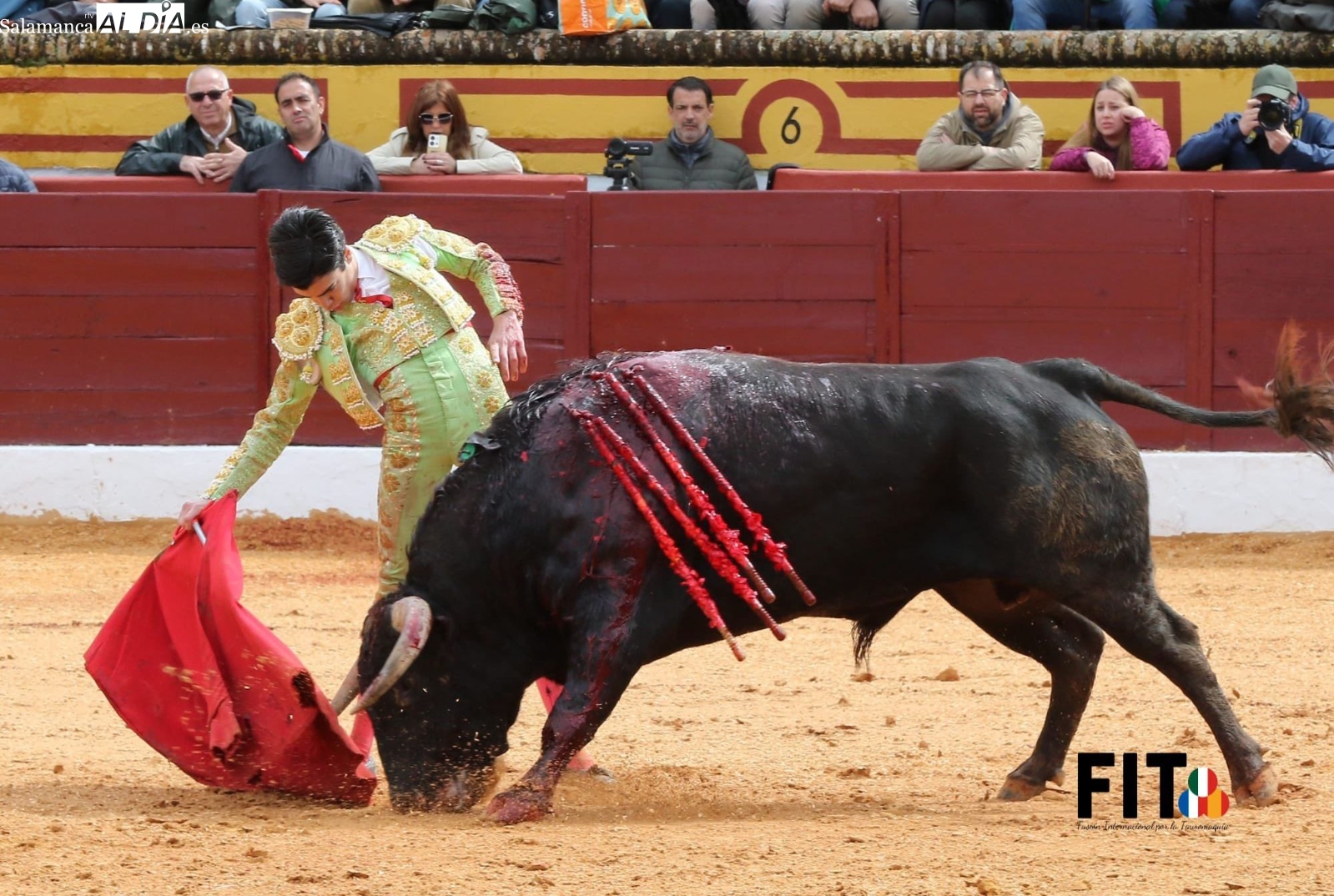 Oreja de peso para Marco Pérez en Olivenza