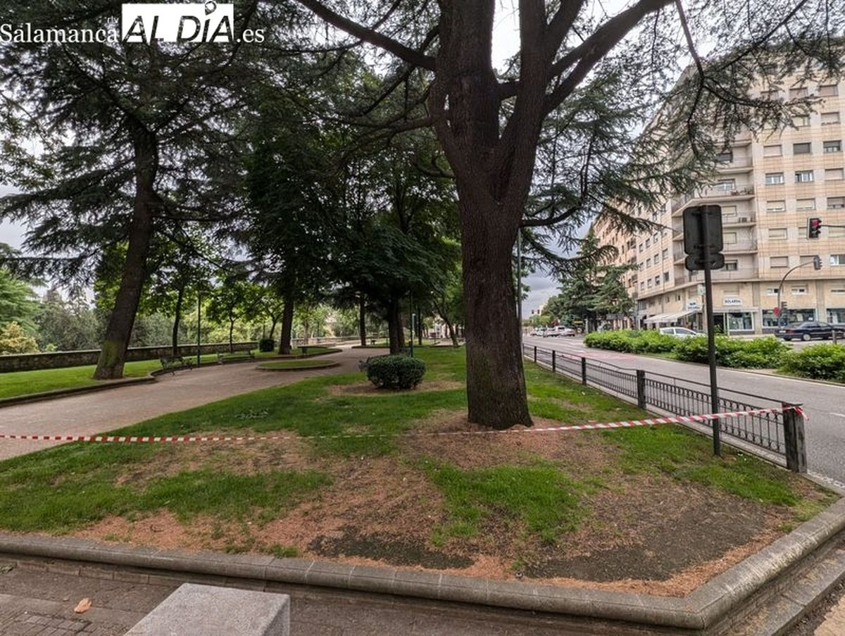 Nuevo cierre de parques y zonas arboladas de Salamanca por alerta de fuertes vientos