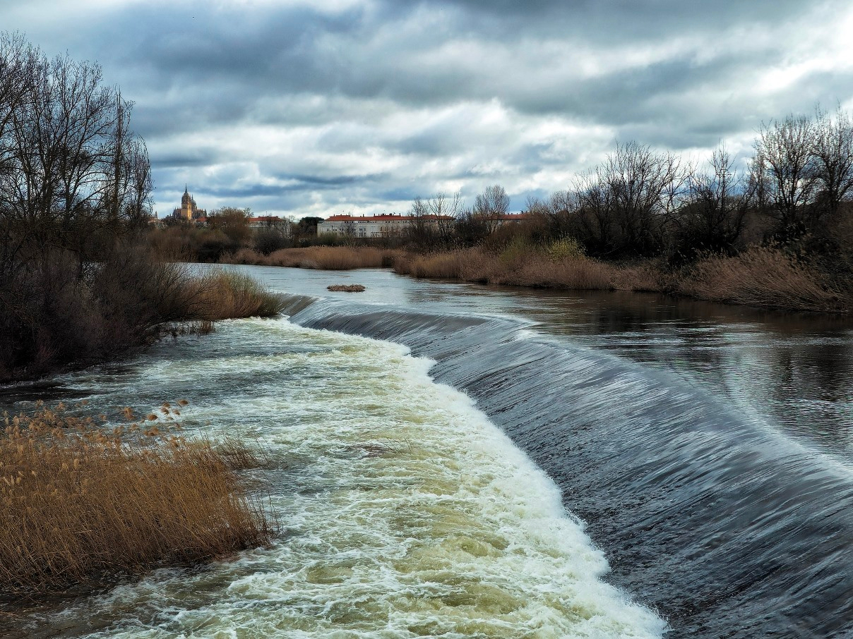Deja marchar aquello que no te aporta