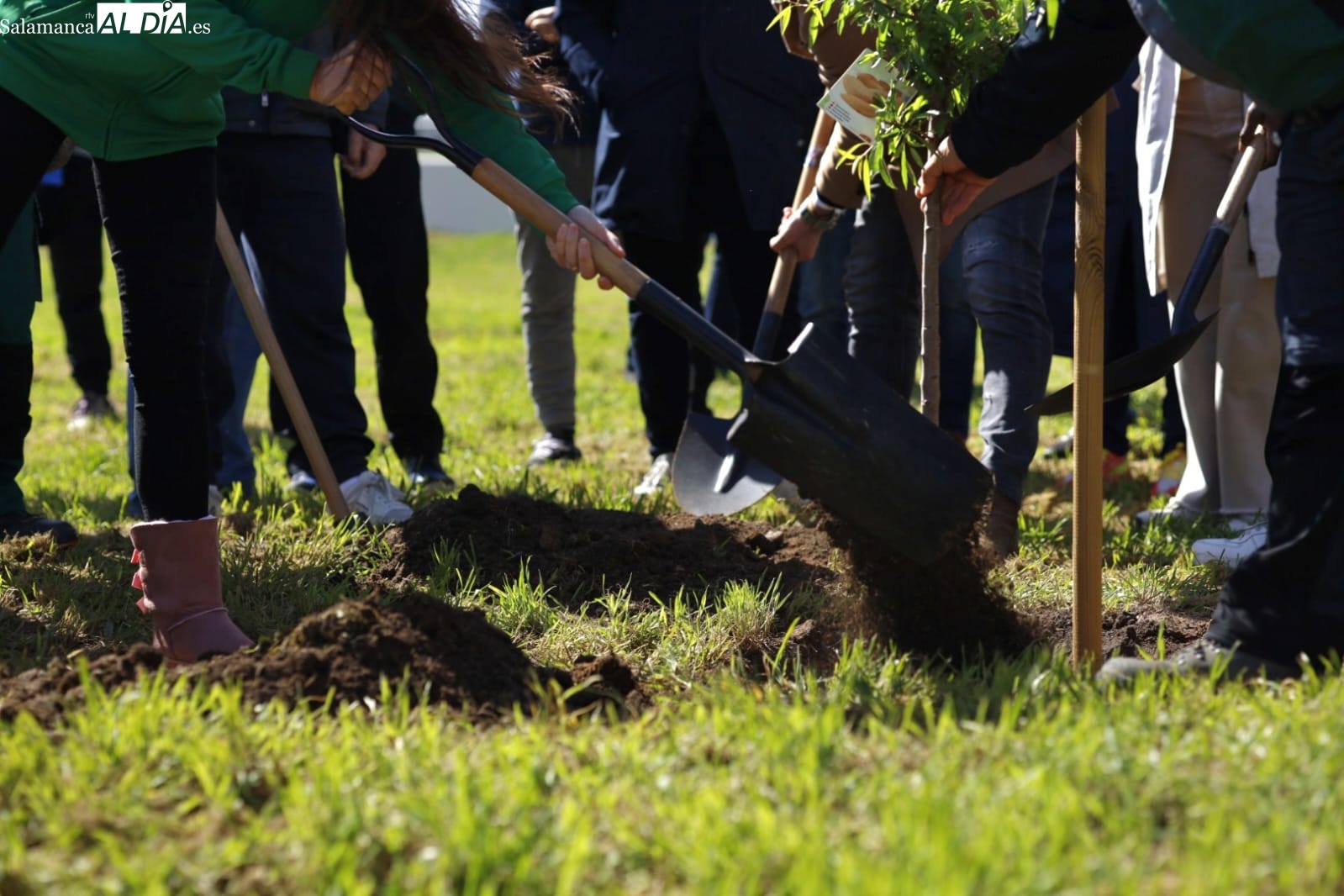 Salamanca ya tiene su Bosque del Deporte en homenaje a las disciplinas deportivas de la ciudad