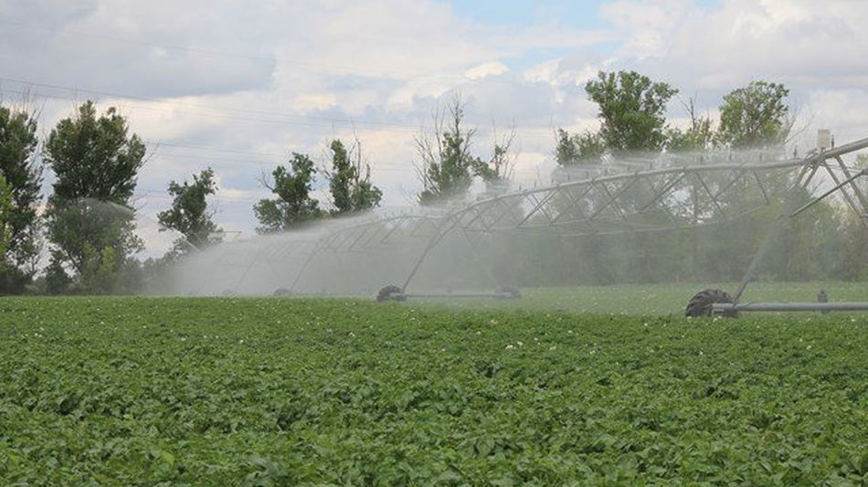 Villoria acoge este miércoles una jornada sobre tecnologías en cultivos de regadío