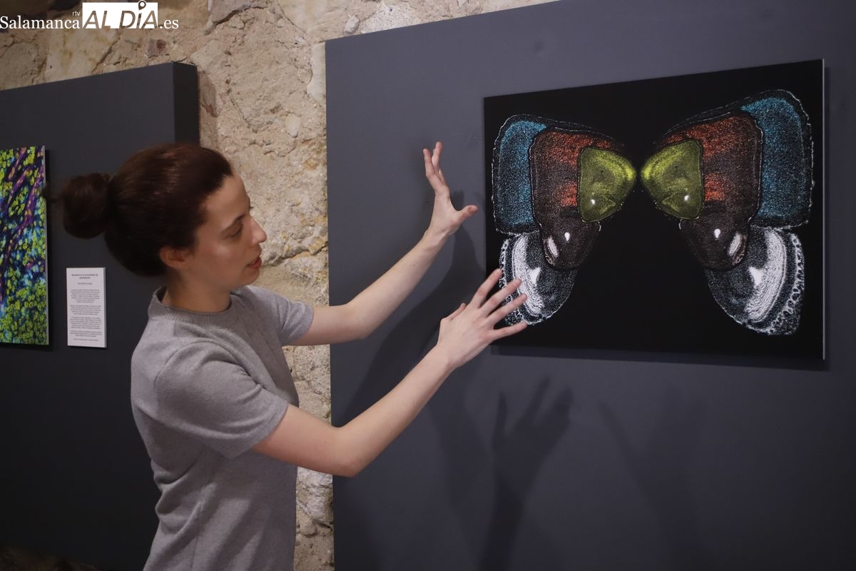 La belleza oculta del cerebro, en esta exposición fotográfica en la Hospedería Fonseca