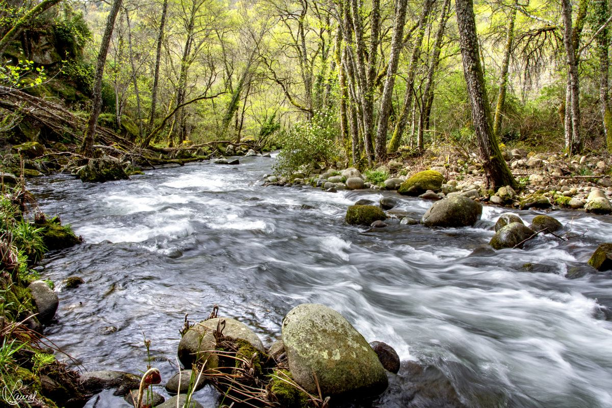 VÍDEO Y FOTOS | Espectaculares fotografías del sendero Puentes Nuevas en plena Sierra de Francia 