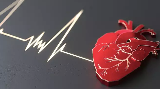 Descubren que una lesión cardíaca de los padres puede afectar a su descendencia