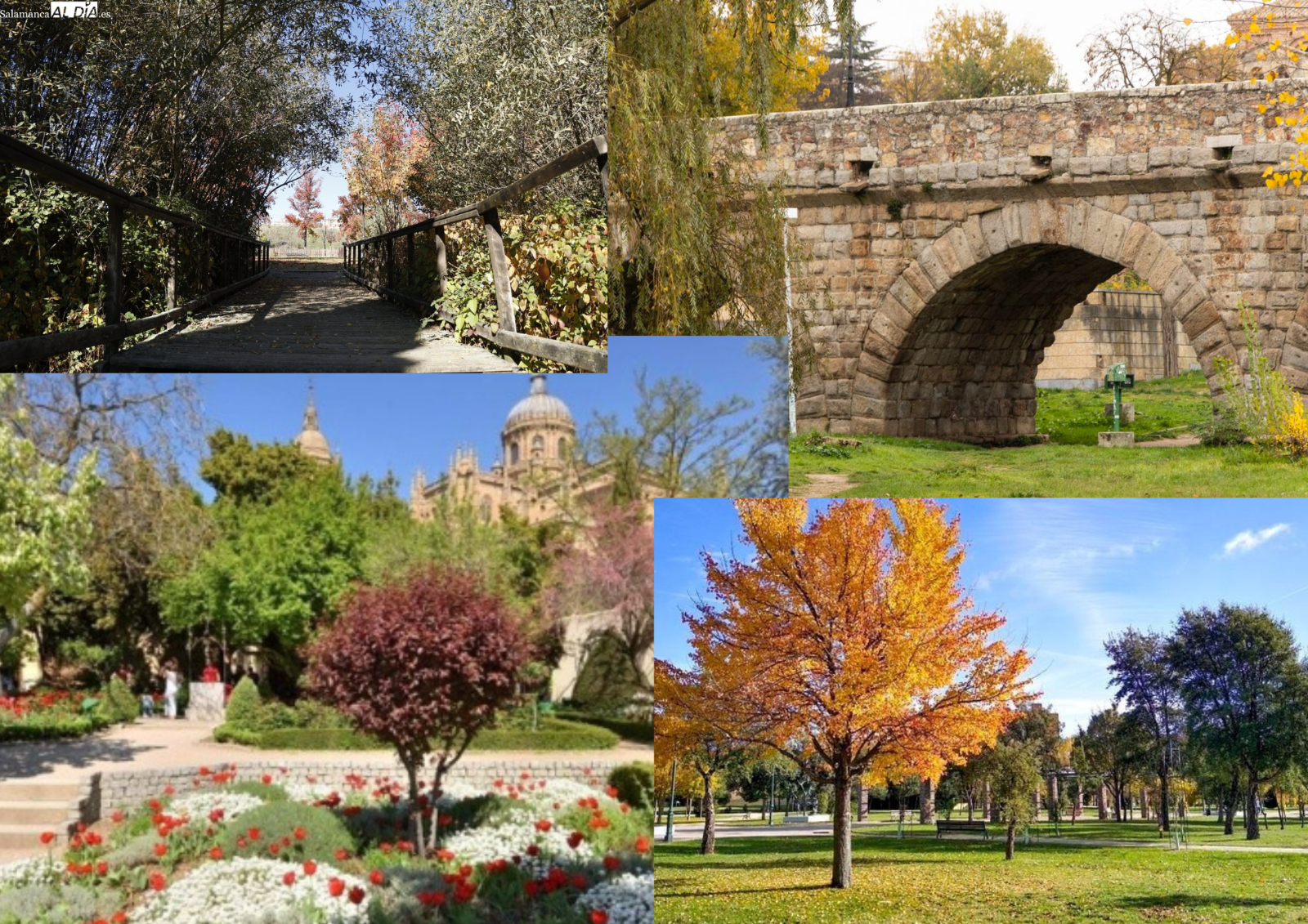 MAPA | Otros ‘pulmones verdes’ en Salamanca 