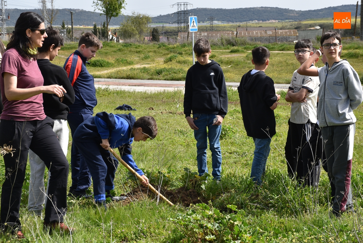 Alumnos del IES Tierra plantan 90 árboles en el marco de un proyecto educativo
