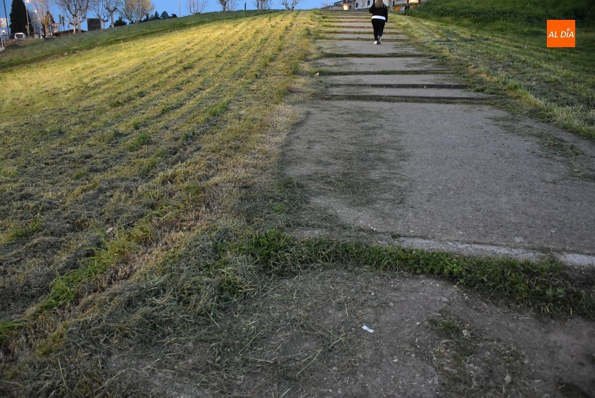 1Foto: Pasillo entre lo verde