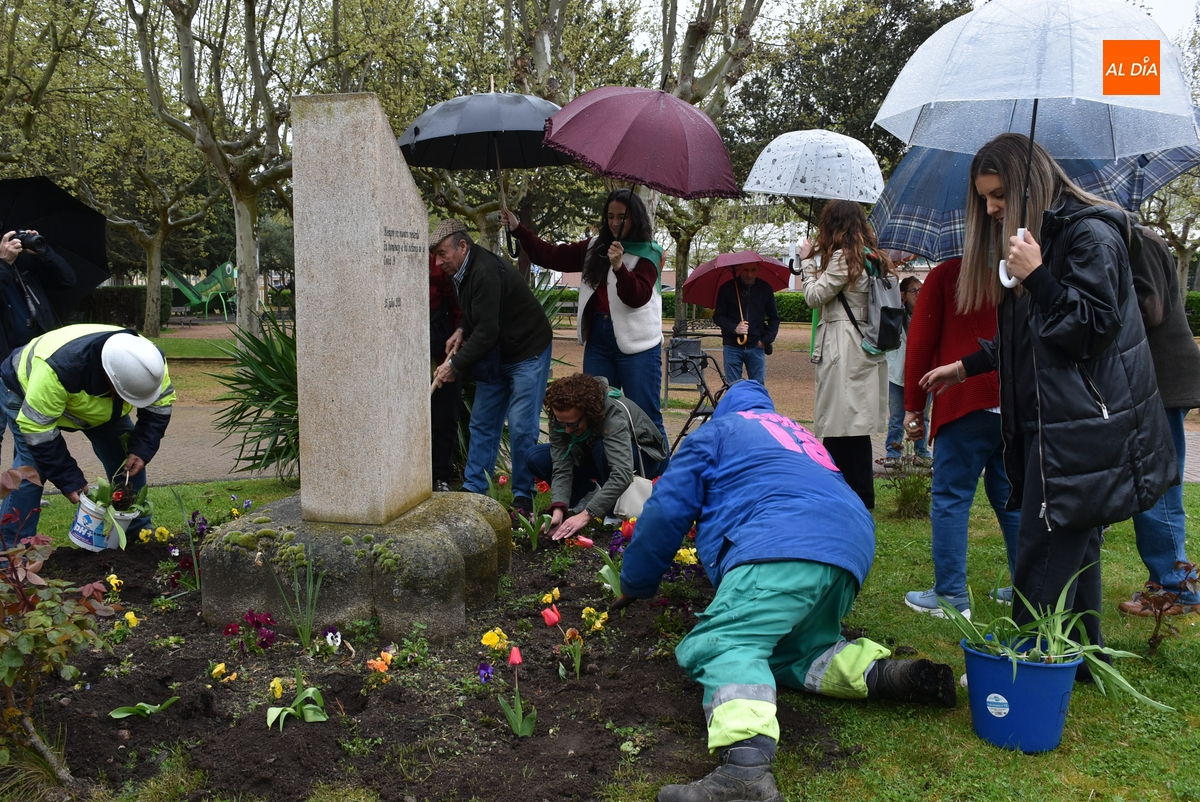 Plantados bajo la lluvia tulipanes en La Glorieta con motivo del Día Mundial del Parkinson