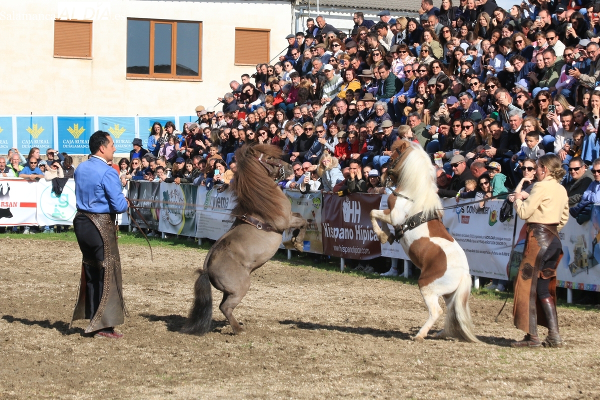 ‘El Duende Ecuestre’ pone un extraordinario broche a la IV Feria Solidaria del Caballo en Bañobárez