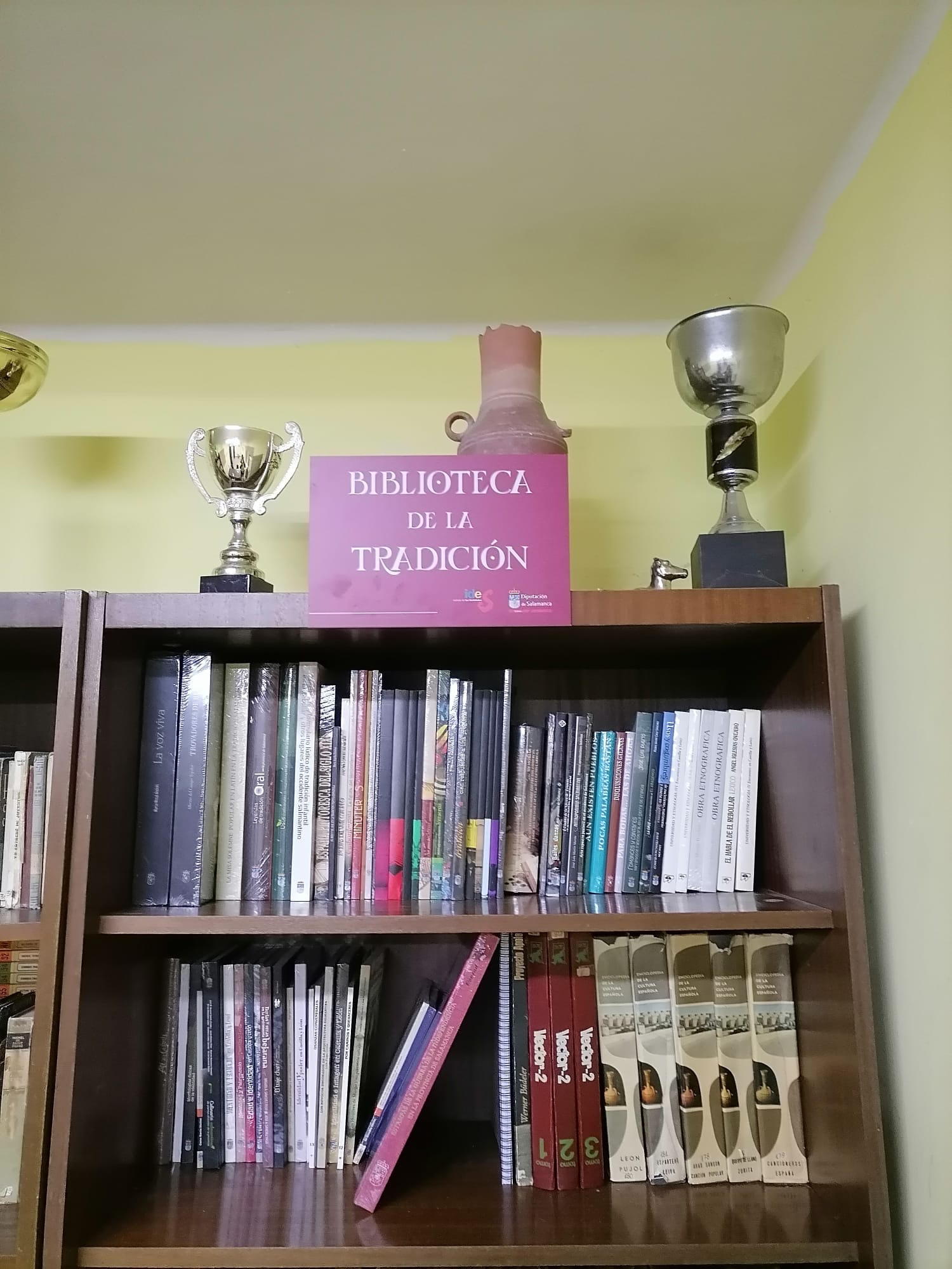 Más de 7.000 publicaciones completarán este año la Biblioteca de la Tradición en los municipios salmantinos