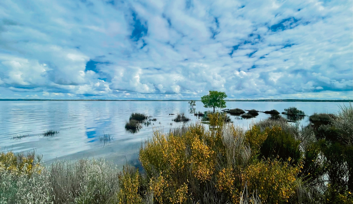 Descubre en Sardón de los Frailes ‘Los Secretos del Embalse’ en la IV Marcha de Senderismo