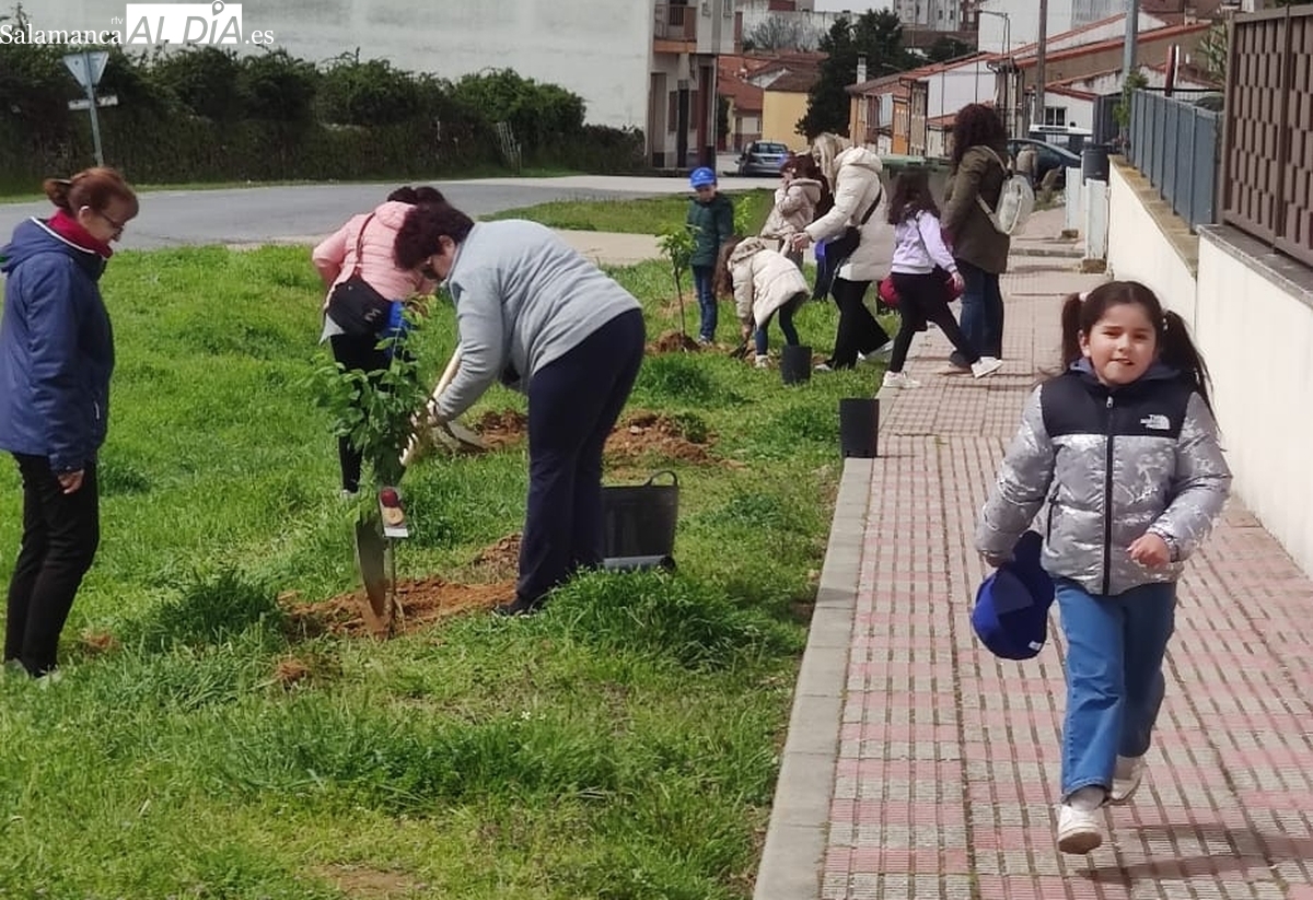 El Festival Ecológico ‘Arboleda: Raíces y Ritmo’ deja 26 nuevos árboles en Vitigudino