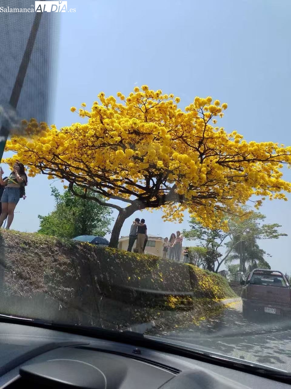 La gratitud de la poesía y la vida