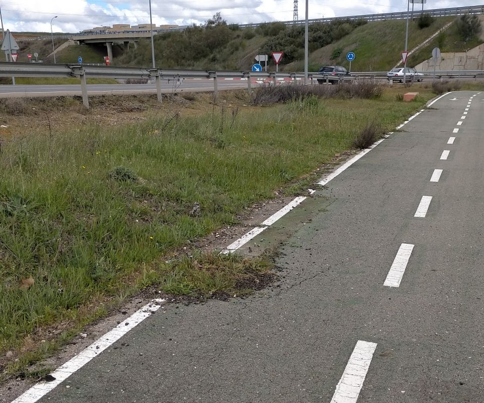 FOTODENUNCIA | El carril bici en Salamanca que se deteriora con hierba y grietas que invaden el asfalto