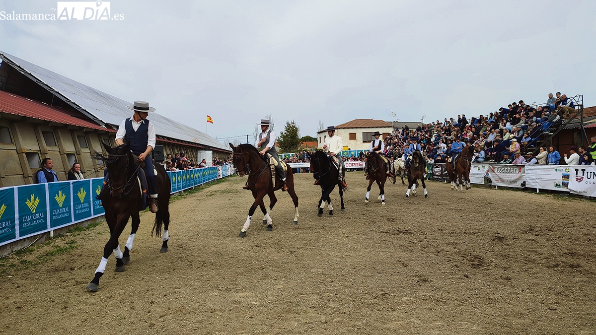 La IV Feria Solidaria del Caballo de Bañobárez, a beneficio de la Asociación de Alzheimer
