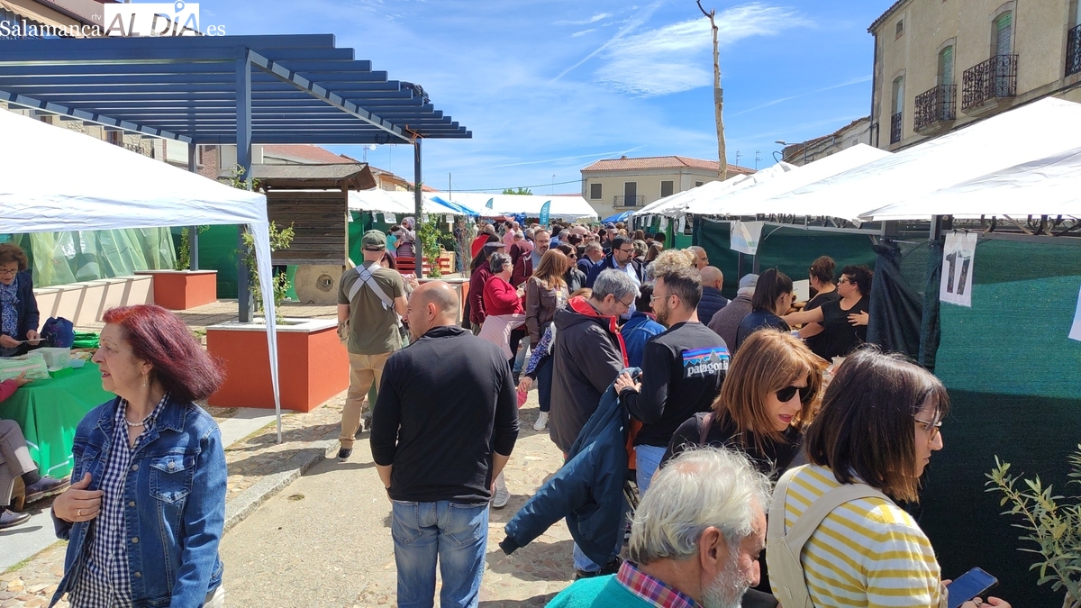 La Feria del Queso de Hinojosa impulsa al sector primario y dinamiza la economía local