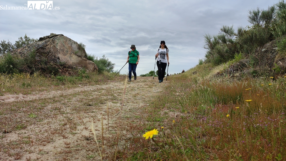 Saucelle celebra el 10 de mayo su XI Marcha Solidaria a favor de la Asociación Salud Mental Salamanca