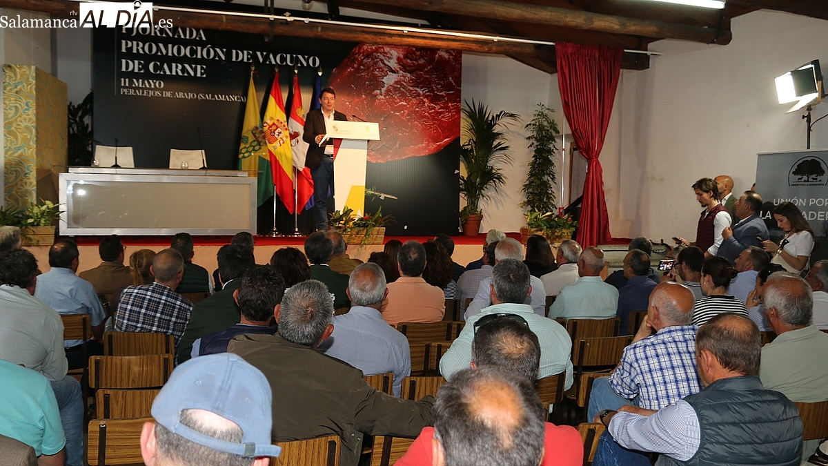 Peralejos de Abajo tiene todo preparado para su II Jornada de Promoción de Vacuno de Carne 
