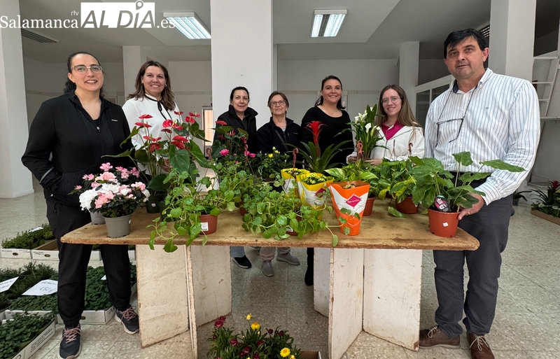 Manos Unidas de Alba de Tormes inicia su venta solidaria de plantas 