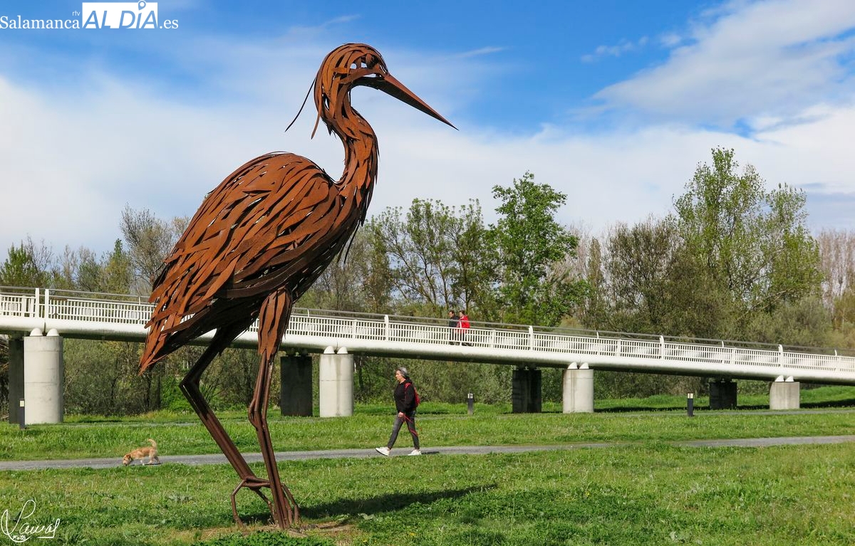 FOTOS | Un buen plan para estos días en Salamanca: un privilegiado paraje fluvial lleno de arte