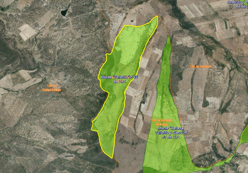 Serradilla del Llano saca a subasta el aprovechamiento de un coto de caza durante 5 temporadas