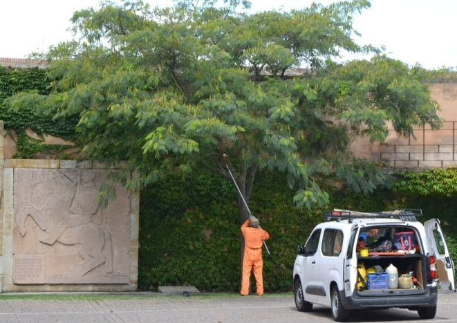 La Junta destina más de 11.000 euros por contrato para que entidades locales empleen a colectivos vulnerables